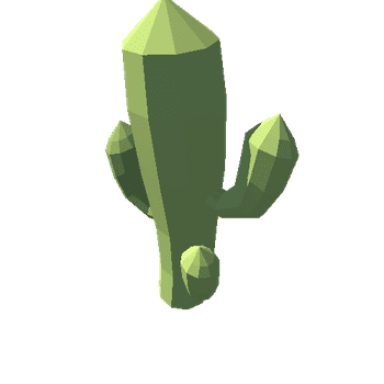 Cactus 04